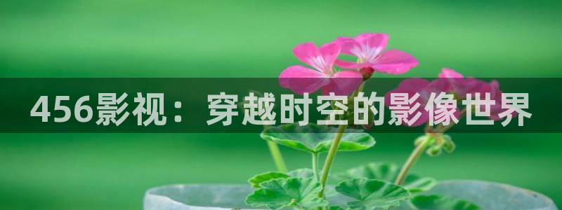黑蚂蚁影视电视剧大全网站